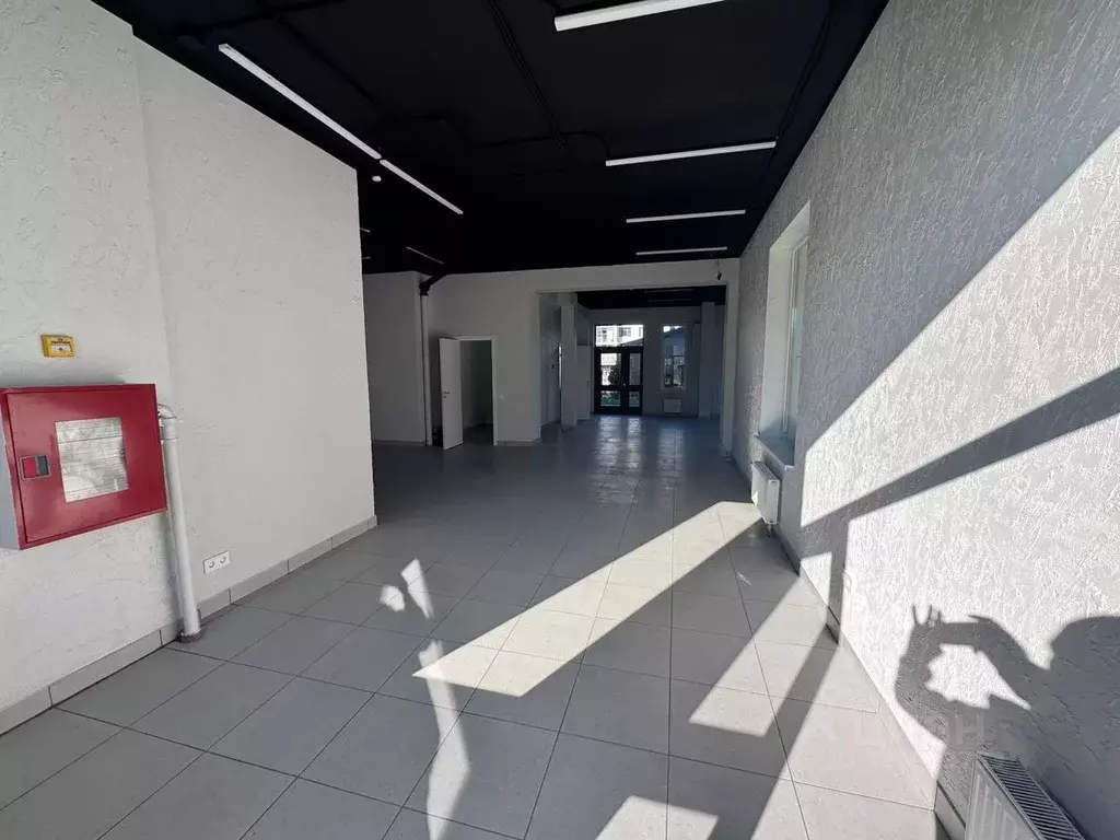 Помещение свободного назначения в Ленинградская область, Всеволожск ... - Фото 1