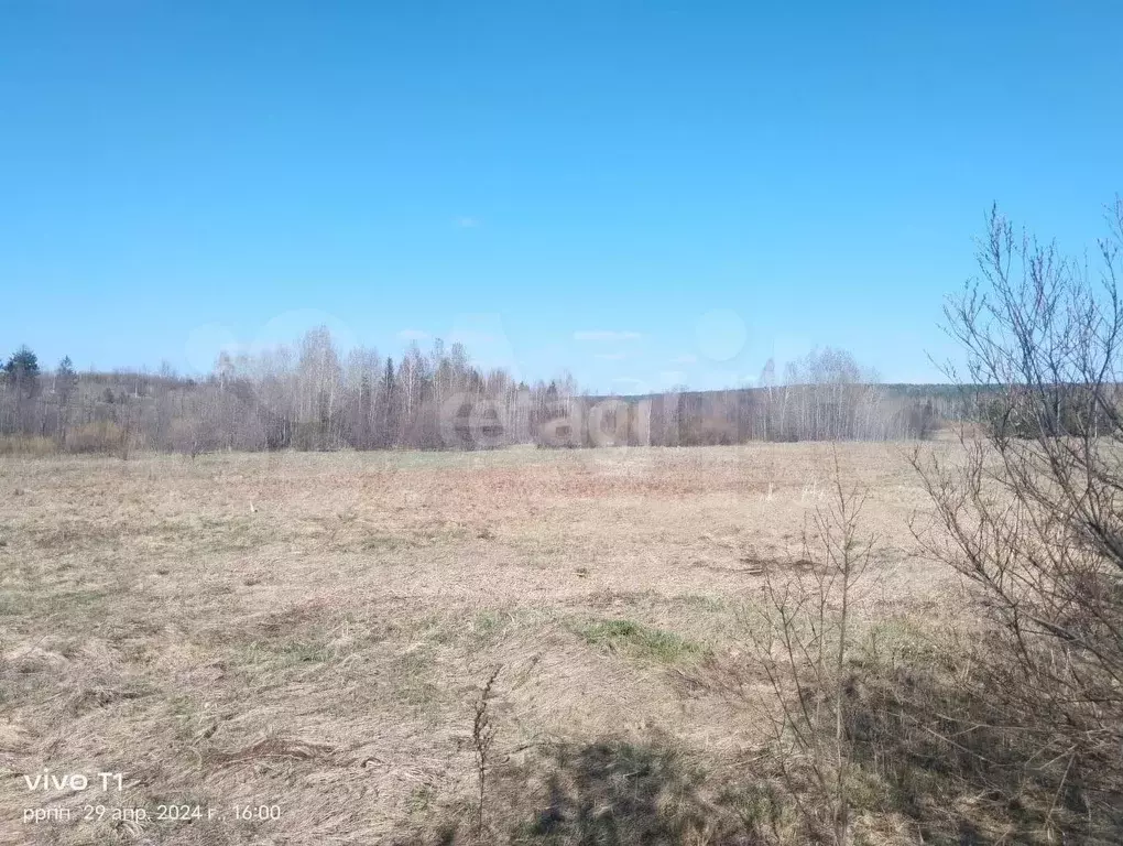 Участок 55,2 сот. (ИЖС) - Фото 1