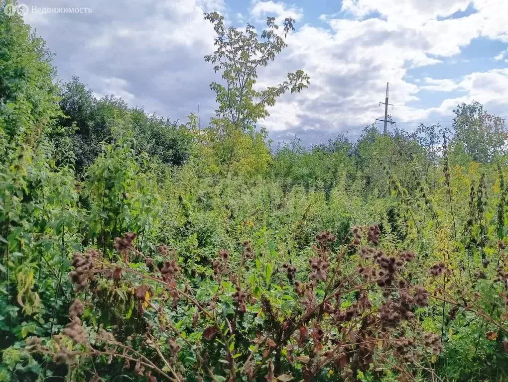 Участок в Отрадовский сельсовет, СНТ Ландыш (5.5 м) - Фото 2