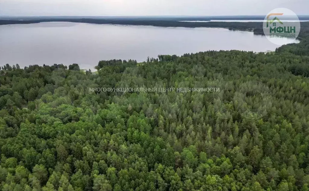 Участок 12,7 сот. (СНТ, ДНП) - Фото 0