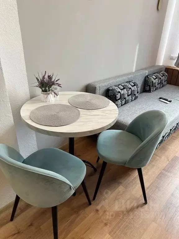 1-к кв. Санкт-Петербург Свердловская наб., 58 (32.0 м) - Фото 2