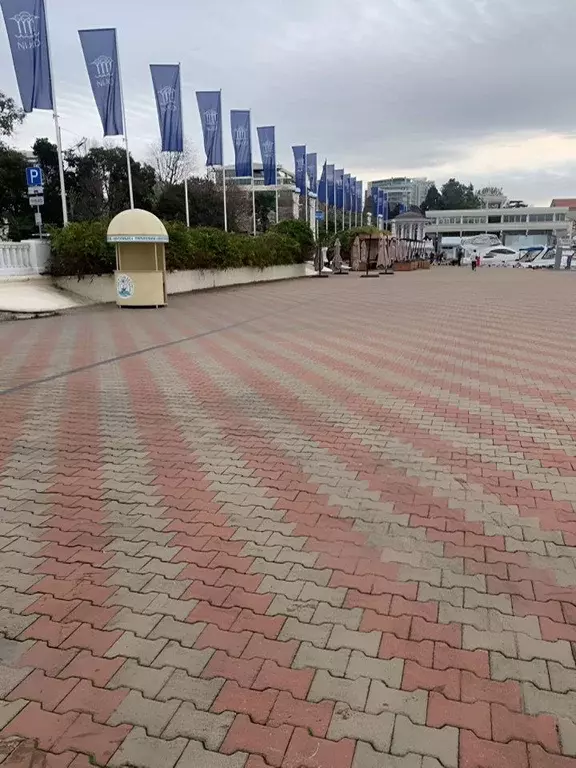 Торговая площадь в Краснодарский край, Сочи Центральный мкр, ул. ... - Фото 1