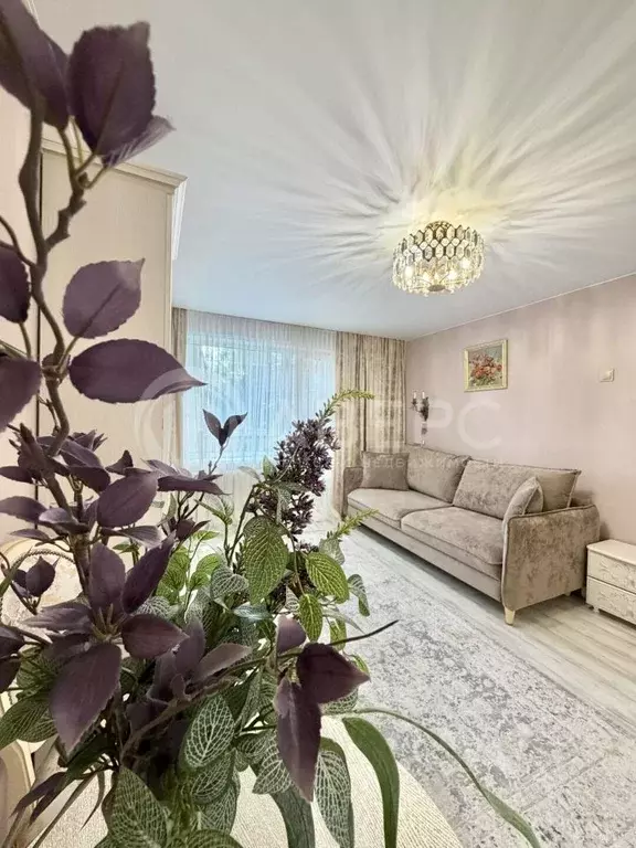 1-к кв. Владимирская область, Муром Кленовая ул., 12а (29.0 м) - Фото 1
