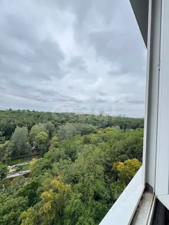 1-к кв. Воронежская область, Воронеж ул. Березовая Роща, 8а (39.6 м) - Фото 1