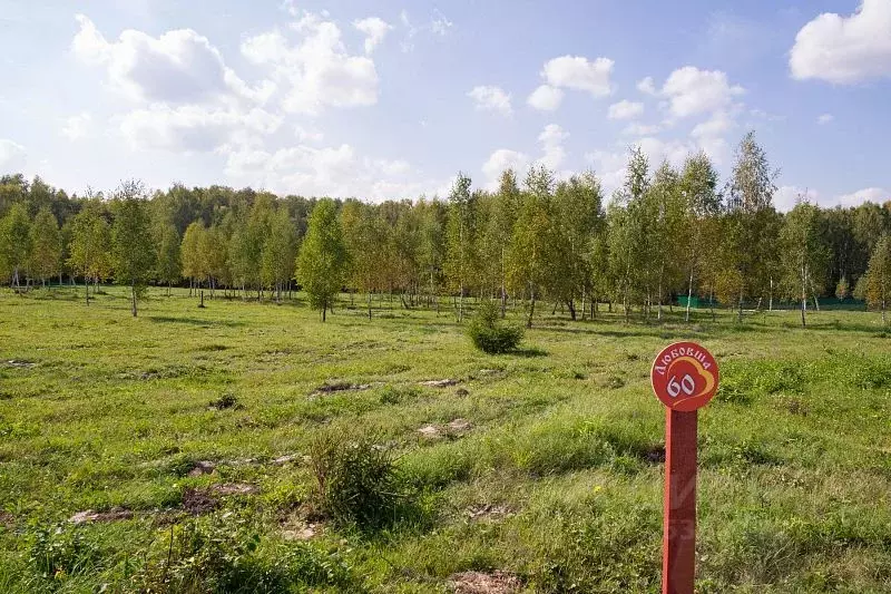 Участок в Тульская область, Заокский район, Демидовское муниципальное ... - Фото 1
