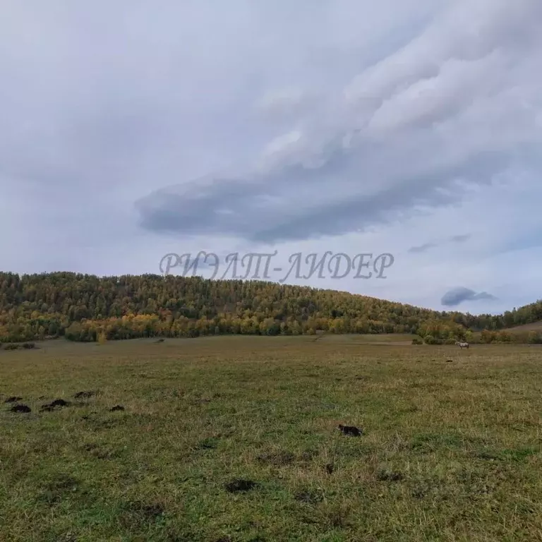 Участок в Алтай, Чемальский район, пос. Верх-Анос ул. Центральная ... - Фото 1