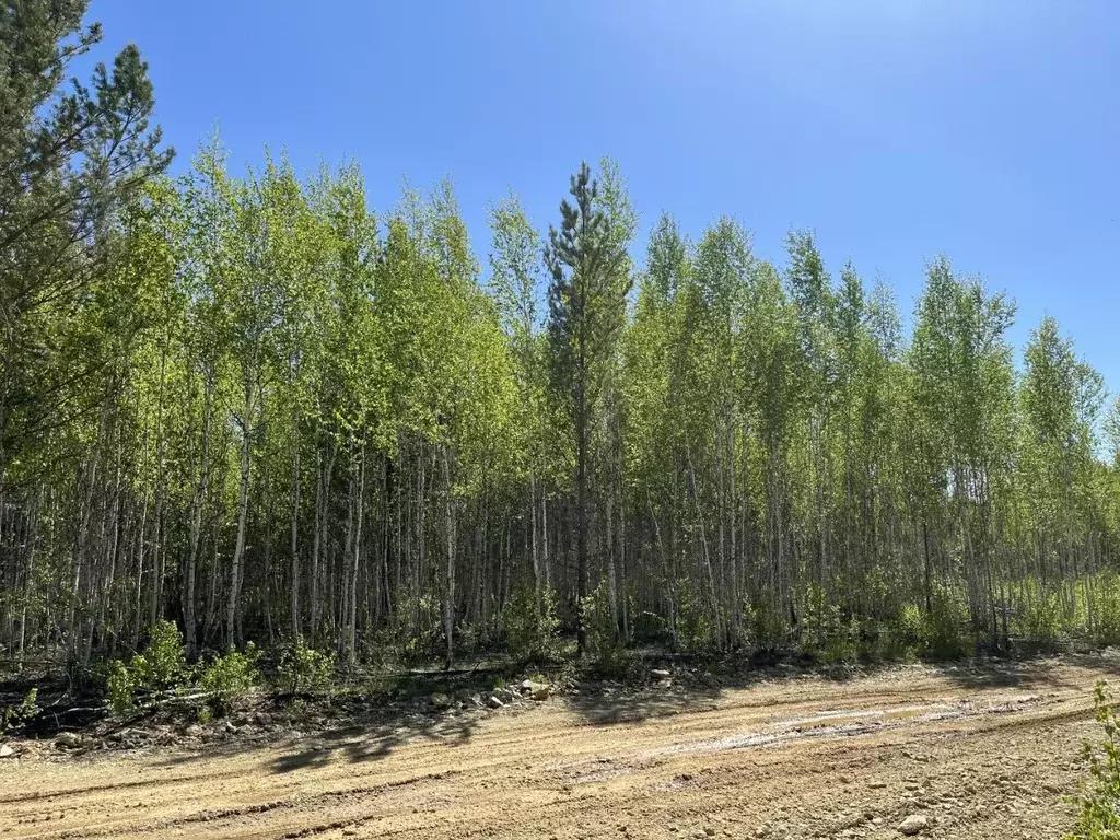 Участок в Челябинская область, Аргаяшский муниципальный округ, Увильды ... - Фото 2