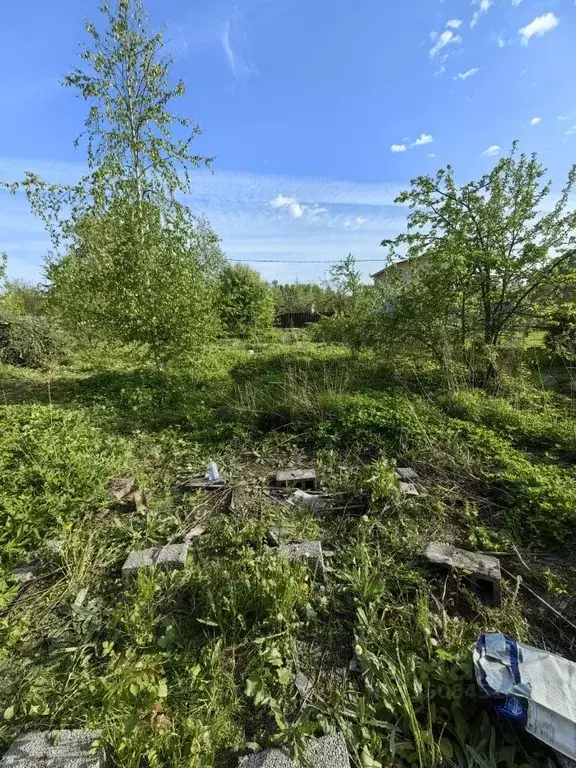 Участок в Санкт-Петербург Педиатр СНТ, 2-я линия (6.21 сот.) - Фото 0