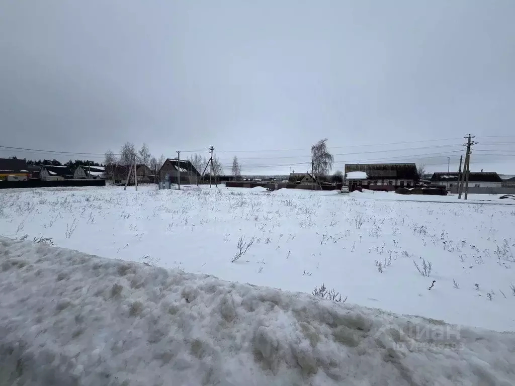 Участок в Воронежская область, Рамонский район, с. Новоживотинное ., Купить  земельный участок Новоживотинное, Рамонский район, ID объекта - 20006781384