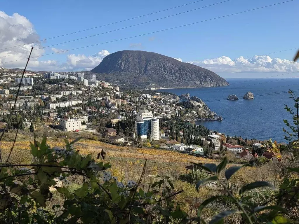 Участок в Крым, Ялта муниципальный округ, Гурзуф пгт ш. Гурзуфское, 1Ж ... - Фото 2