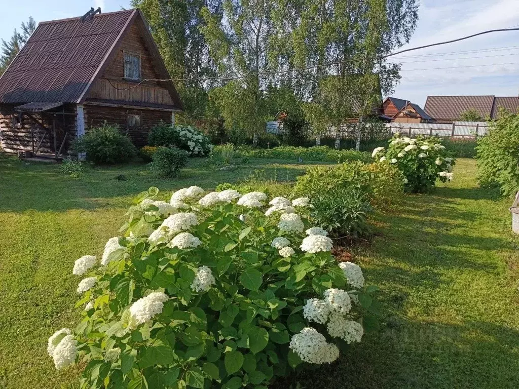 Дом в Новгородская область, Крестецкий муниципальный округ, д. Жары  ... - Фото 1