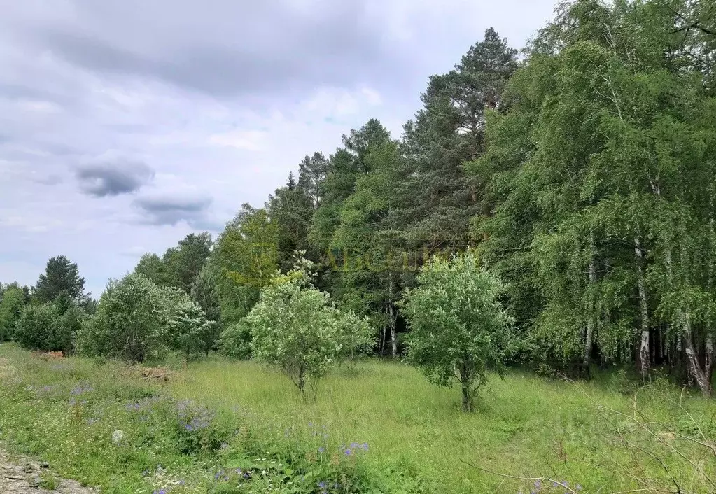 Участок в Свердловская область, Ревда городской округ, пос. Ледянка  ... - Фото 0