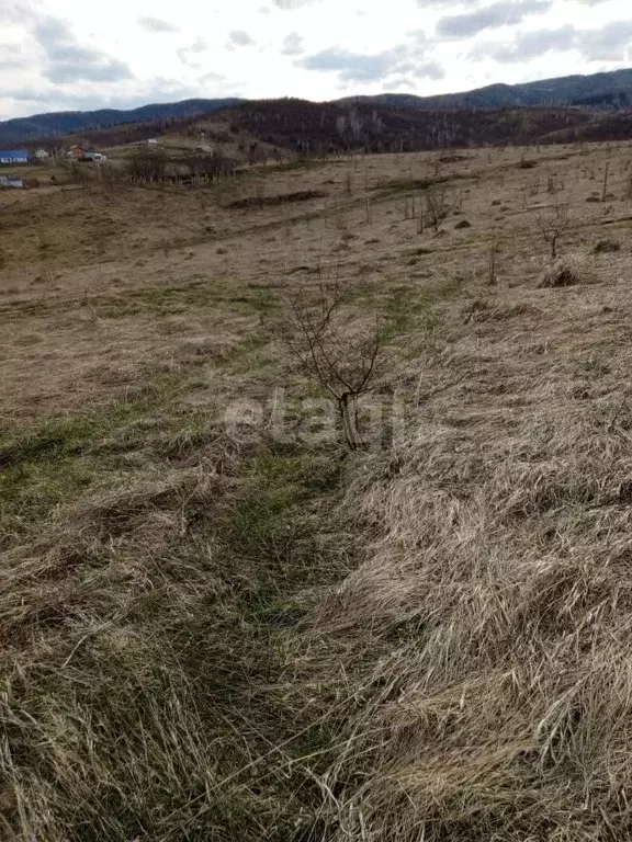 Участок в Алтайский край, Алтайский район, с. Алтайское ул. Зои ... - Фото 1