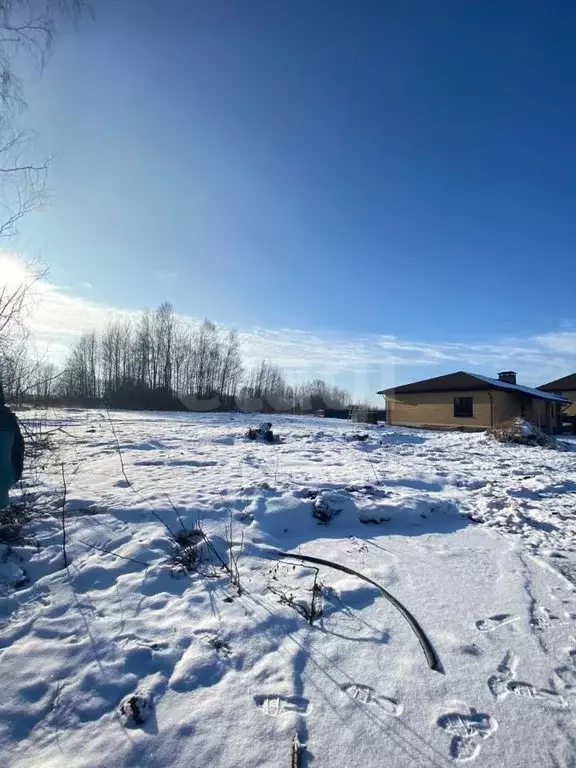Участок в Костромская область, Красносельский район, Шолоховское ... - Фото 2