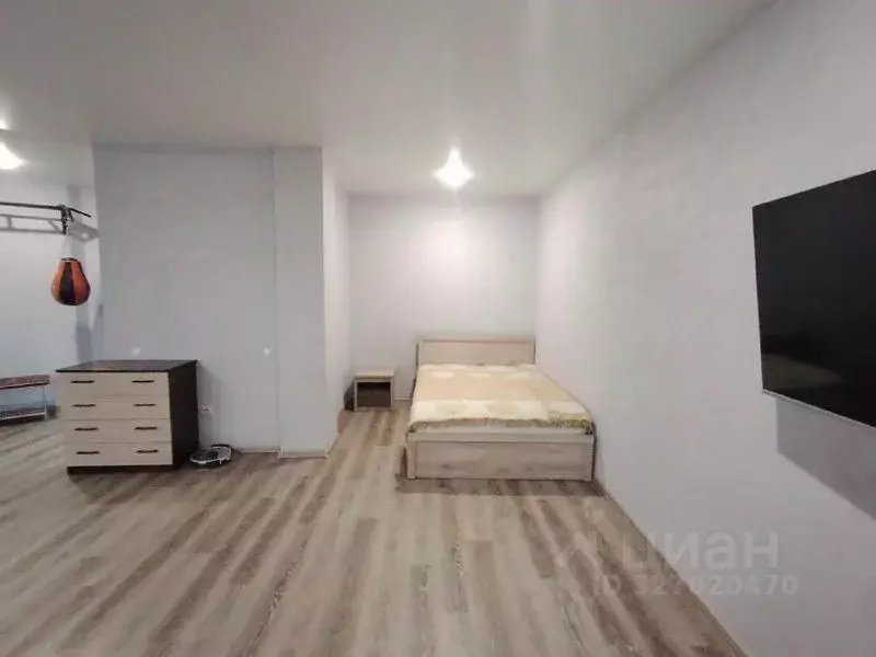 Студия Хакасия, Абакан просп. Дружбы Народов (45.2 м) - Фото 2