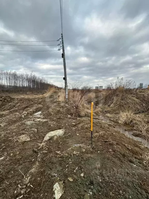 Участок в Сахалинская область, Анивский городской округ, с. ... - Фото 1