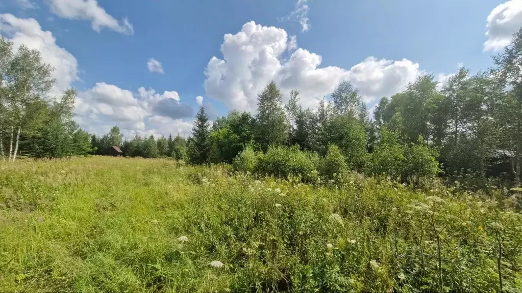 Участок в Московская область, Наро-Фоминский городской округ, Руть СНТ ... - Фото 0