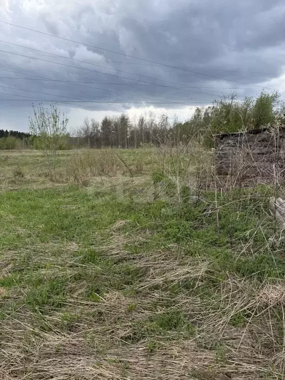 Участок в Томская область, Томск д. Киргизка, ул. Тимофеева (15.3 ... - Фото 2