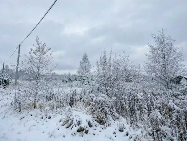 Участок в Тульская область, Заокский район, Малаховское с/пос, ... - Фото 1