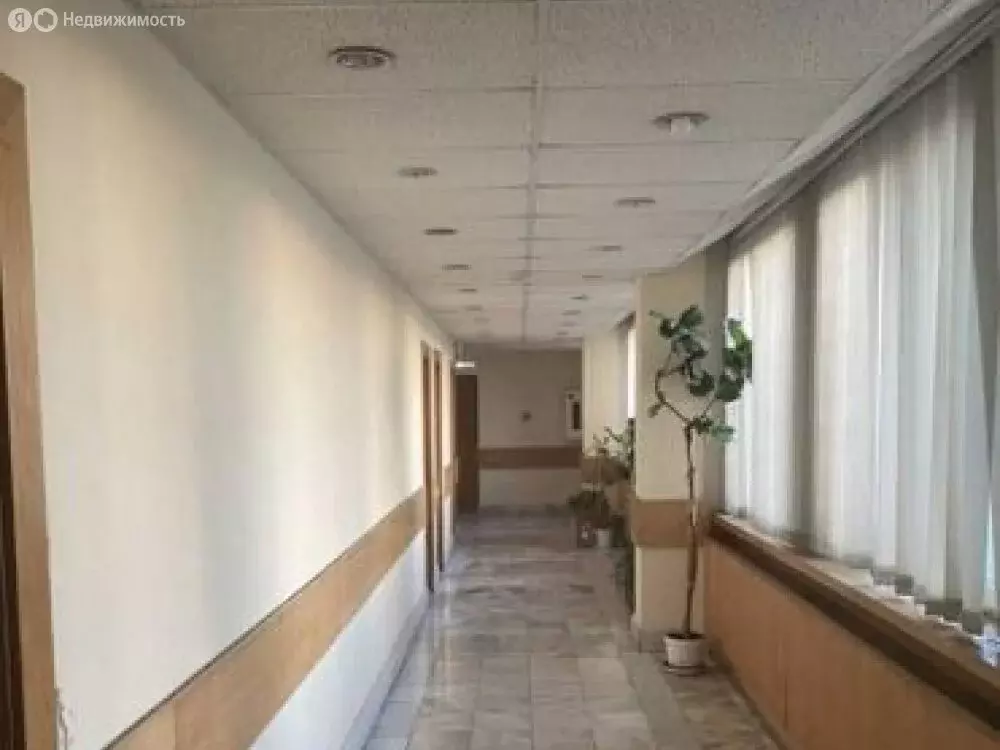 Офис (4500 м) - Фото 1
