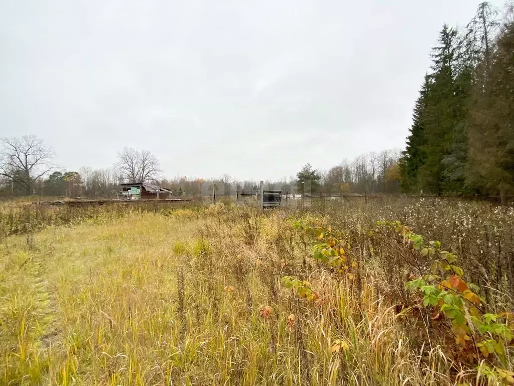 Участок в Ярославская область, Рыбинский муниципальный округ, с. ... - Фото 1