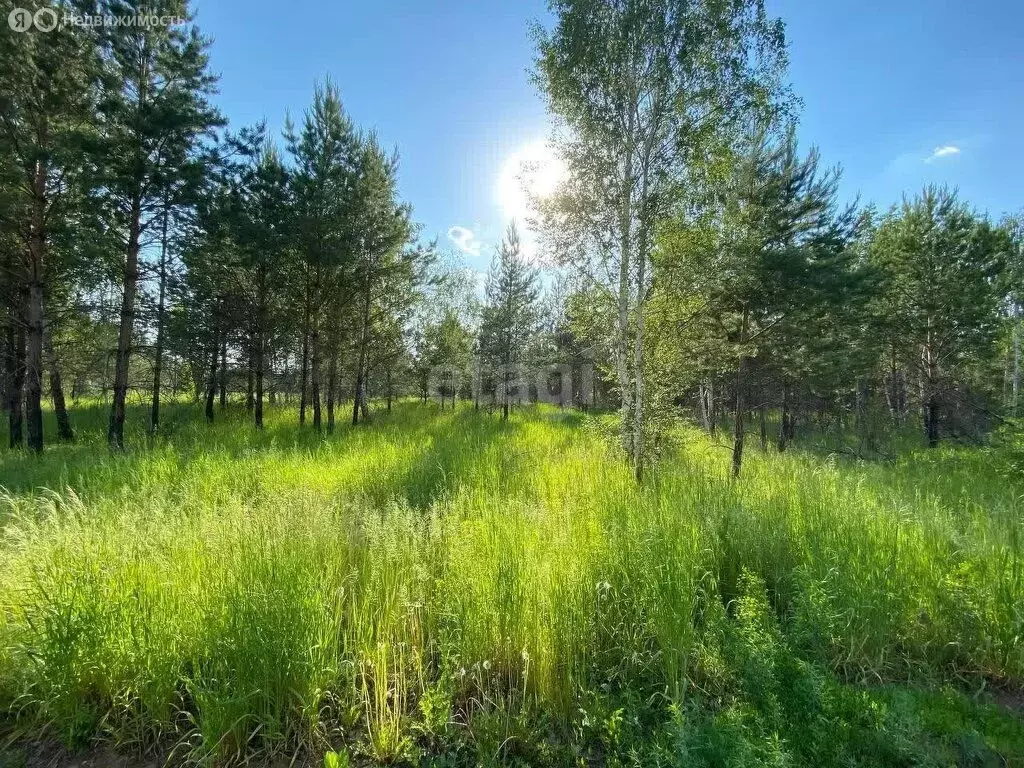 Участок в Курганская область, Кетовский муниципальный округ, село ... - Фото 0