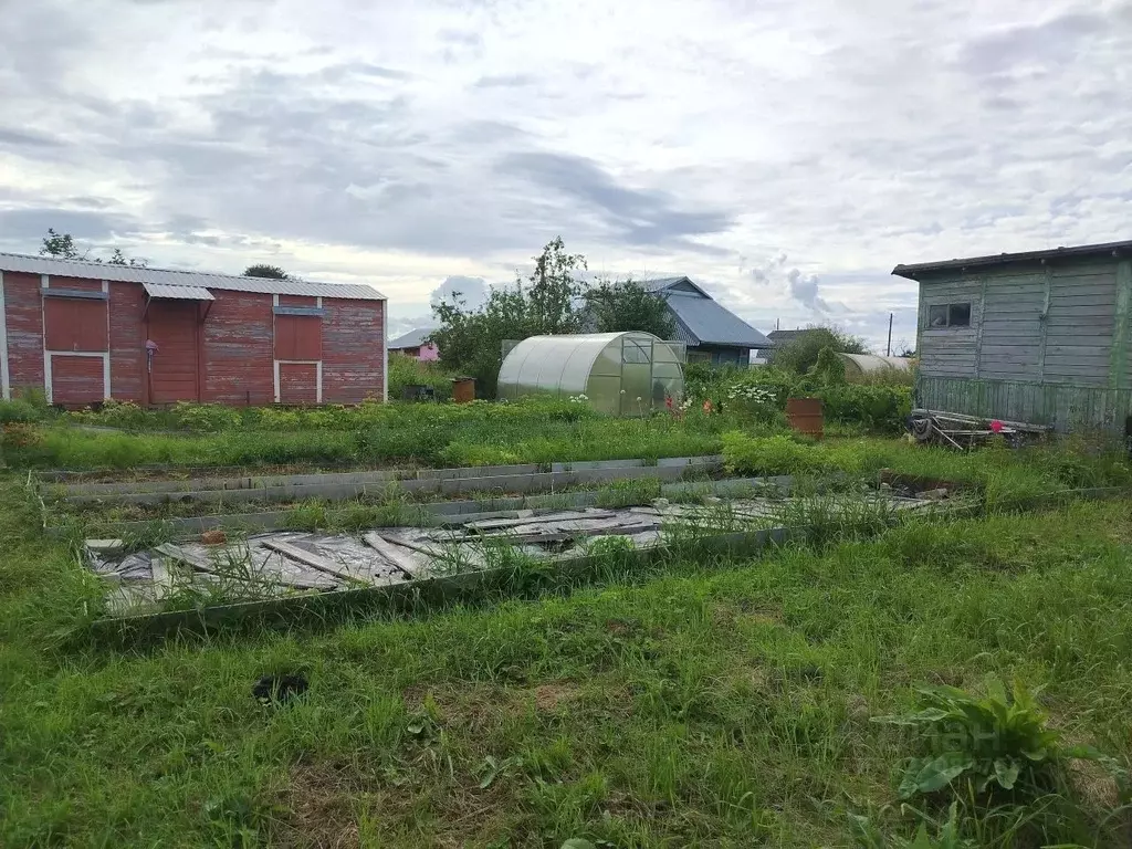 Дом в Вологодская область, Вишня садоводческое товарищество  (20 м) - Фото 1