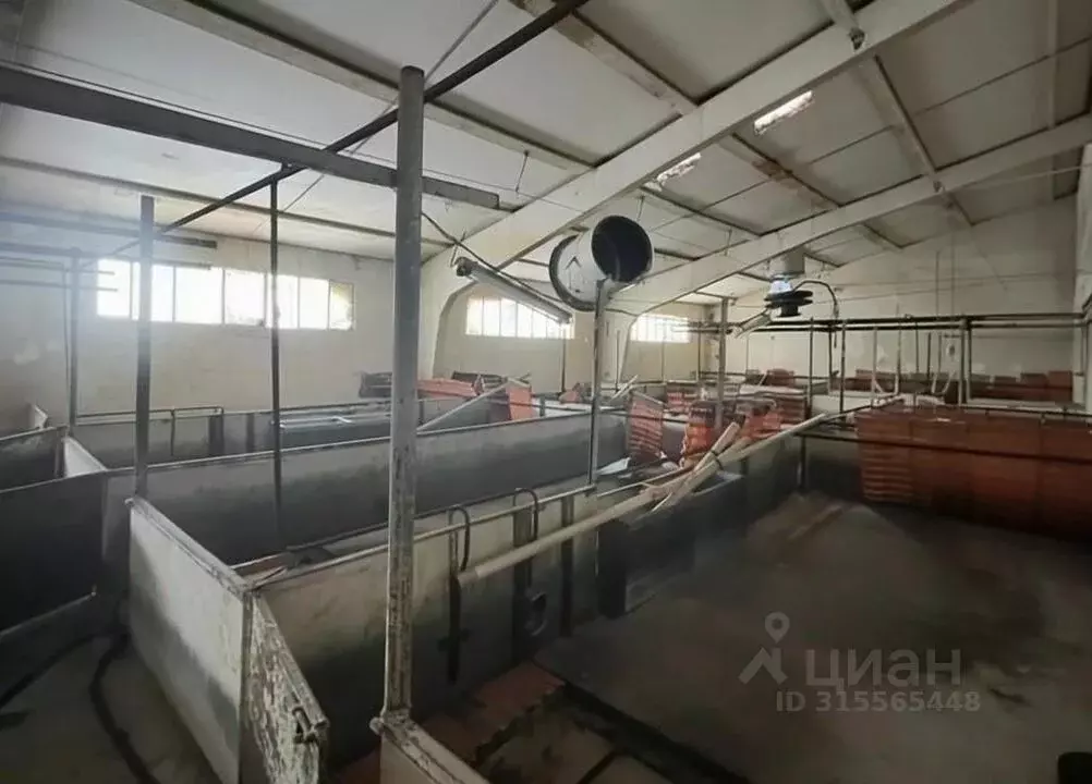 Склад в Москва д. Кузнецово,  (12000 м) - Фото 0