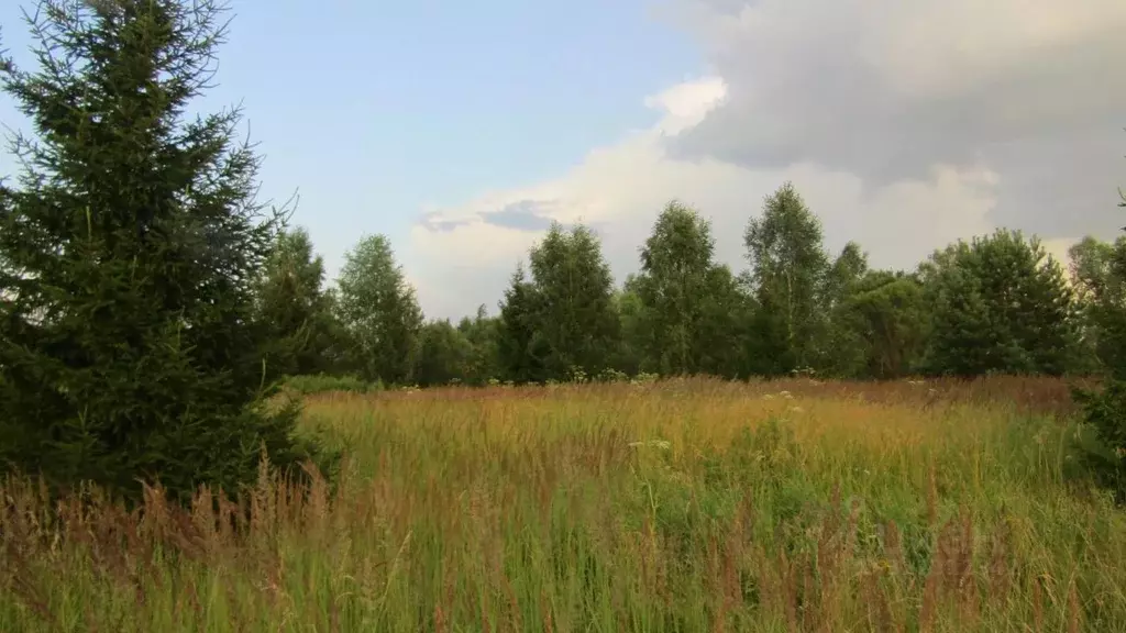 Участок в Московская область, Рузский муниципальный округ, д. ... - Фото 0