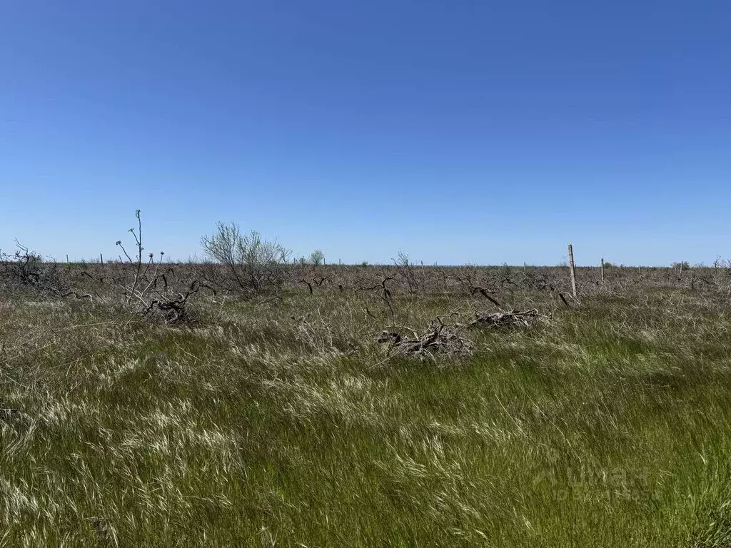 Участок в Крым, Бахчисарайский район, с. Угловое ул. Ленина, 91 (290.0 ... - Фото 0