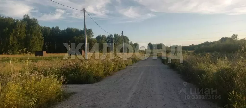Участок в Новосибирская область, Колыванский район, с. Скала ул. 60 ... - Фото 2