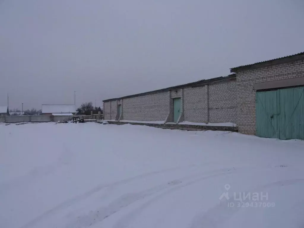 Гараж в Псковская область, Красногородск рп ул. Комсомольская, 21 (38 ... - Фото 1