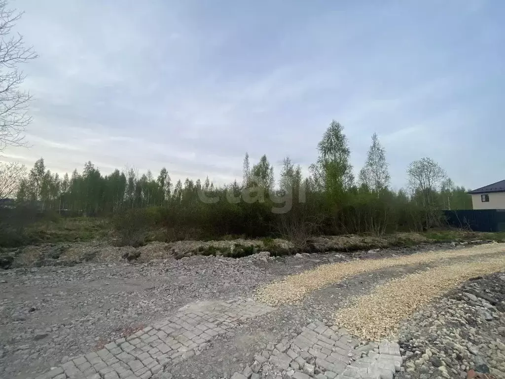 Участок в Ленинградская область, Тосненский район, Ульяновское ... - Фото 1