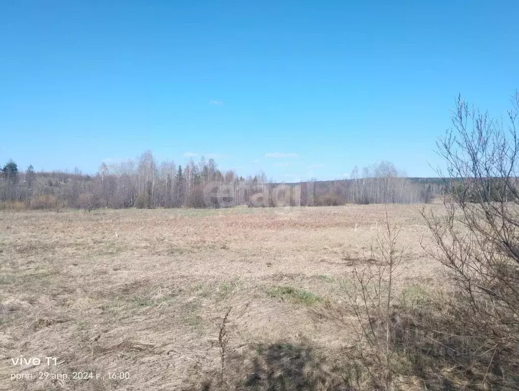 Участок в Свердловская область, Горноуральский муниципальный округ, ... - Фото 1