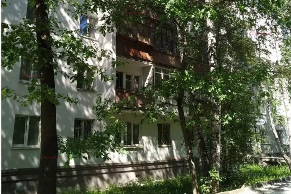 1-к кв. Свердловская область, Екатеринбург ул. Мичурина, 206 (30.0 м) - Фото 2