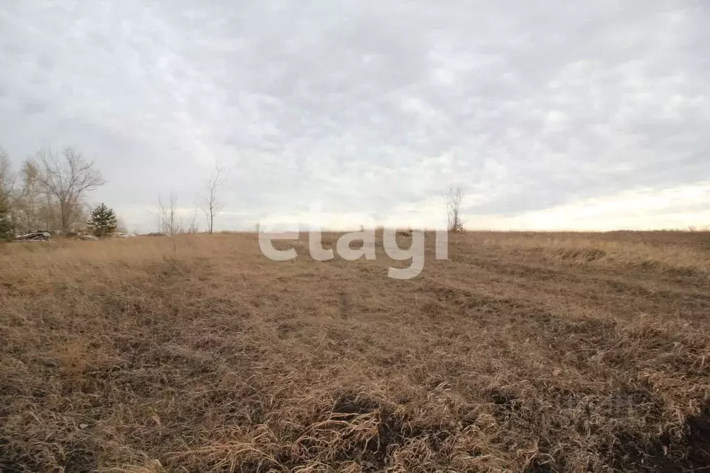 Участок в Красноярский край, Красноярск городской округ, пос. Солонцы  ... - Фото 0