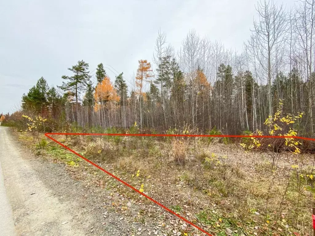 Участок в Иркутская область, Иркутский муниципальный округ, Светлый Яр ... - Фото 2