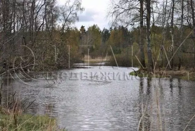 Участок в Ленинградская область, Приозерский район, Севастьяновское ... - Фото 1