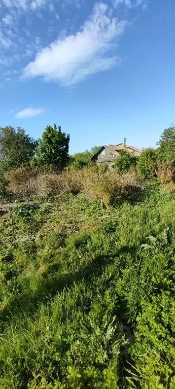 Участок в Пензенская область, Бессоновский район, с. Трофимовка ... - Фото 1
