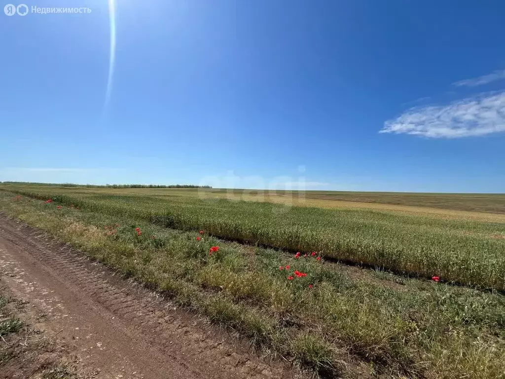 Участок в Сакский район, село Митяево (368 м) - Фото 0