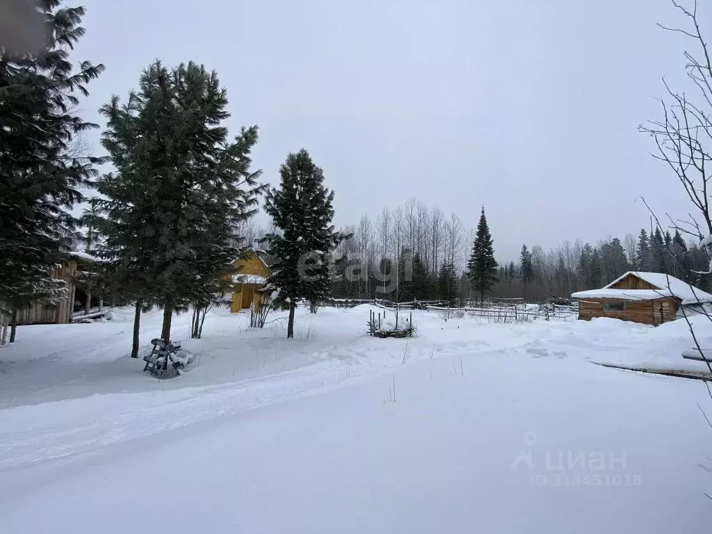 Участок в Ханты-Мансийский АО, Ханты-Мансийск Таволожное урочище,  ... - Фото 0