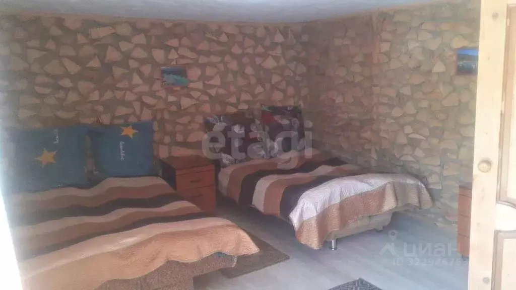 Дом в Алтай, Чемальский район, Элекмонарское с/пос, с. Элекмонар ул. ... - Фото 1