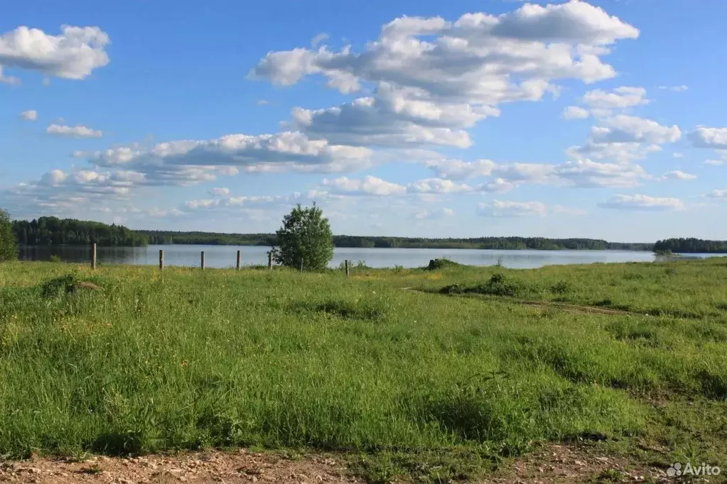 Участок в Нижегородская область, Богородский муниципальный округ, д. ... - Фото 1