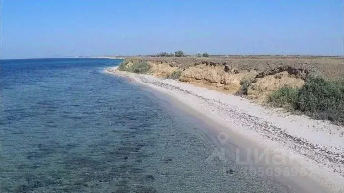 Участок в Крым, Черноморский район, с. Окуневка  (300.0 сот.) - Фото 1