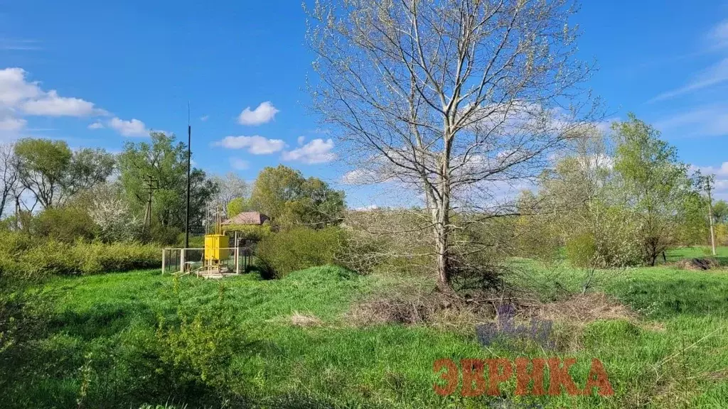 Участок в Краснодарский край, Крымск Лебединая ул. (56.0 сот.) - Фото 0
