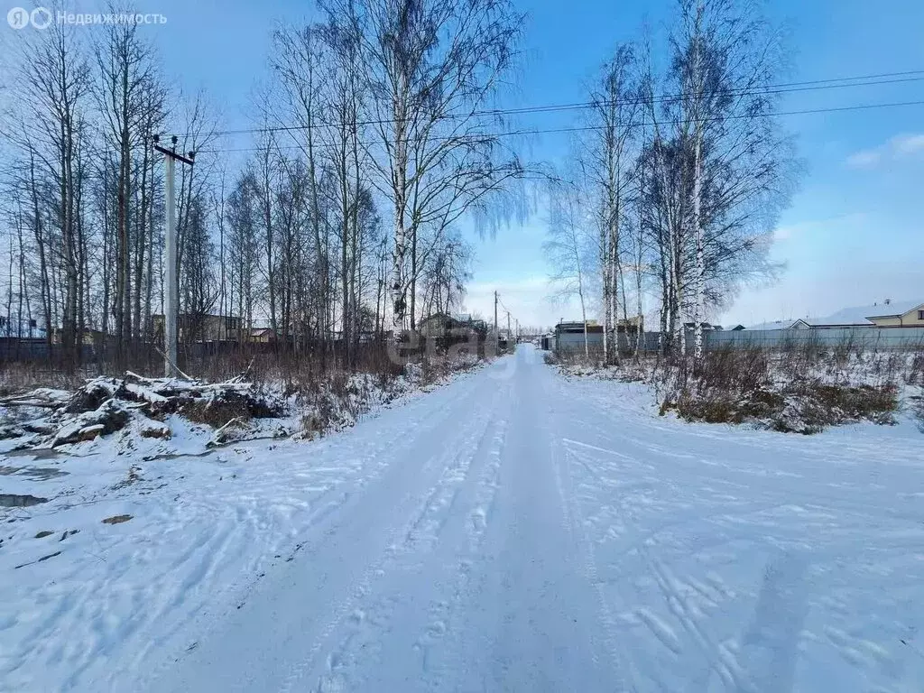 Участок в Ярославский муниципальный округ, деревня Алешково (10 м) - Фото 1