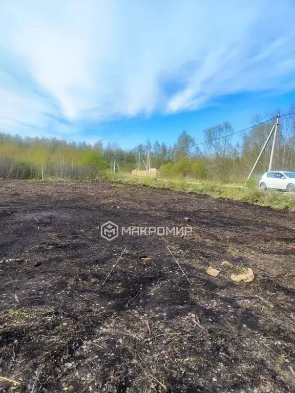 Участок в Ленинградская область, Ломоносовский район, Ропшинское ... - Фото 1