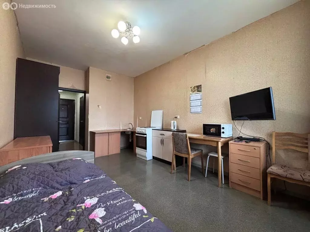 Квартира-студия: посёлок Шушары, Вилеровский переулок, 6 (23.6 м) - Фото 2