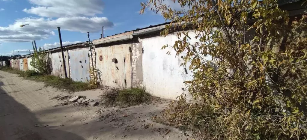Гараж в Нижегородская область, Дзержинск ГСК Западный-6 тер., 6 (11 м) - Фото 1