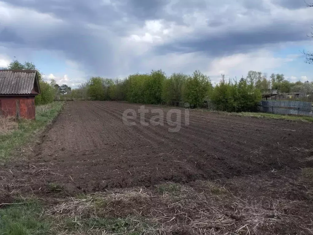 Участок в Амурская область, Ивановский муниципальный округ, с. ... - Фото 1